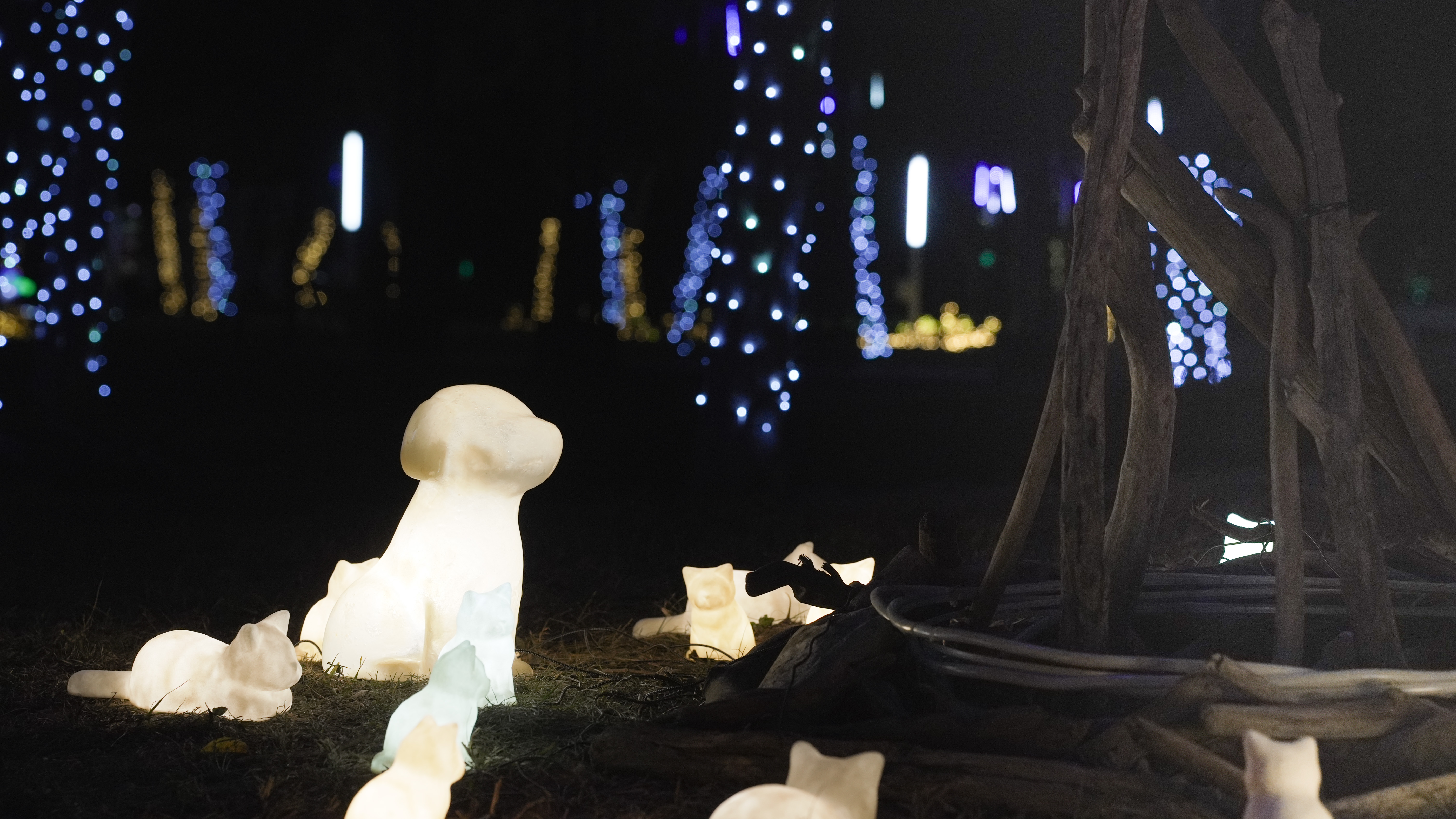 LIT Advertising Awards Winner - 2026 Central Taiwan Lantern Festival【Animal Dream World】