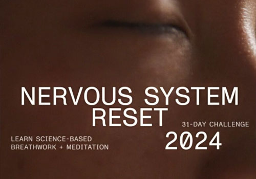 LIT Advertising Awards Winner - icepop - Nervous System Reset