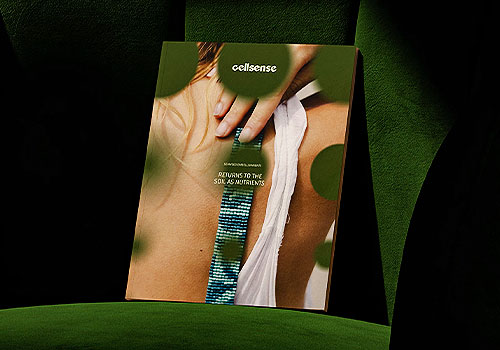 LIT Advertising Awards Winner - Yoon Bee Baek / Hyunji Jun - Cellsense