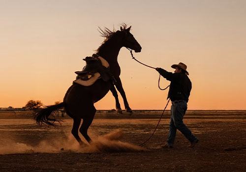 LIT Advertising Awards - The Edge of Everything 