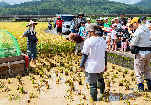 LIT Advertising Awards Winner - New Taipei City Government, Environmental Ethics Foundation of Taiwan - Birds of Passage Arrive / Gongliao‧Tianliaoyang‧Eco-Friendly