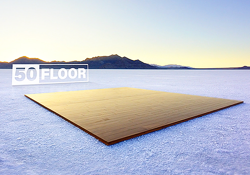 LIT Advertising Awards Winner - Hawthorne Advertising - Floor of Your Dreams